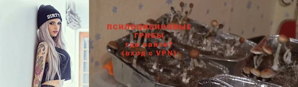 крисы Балабаново