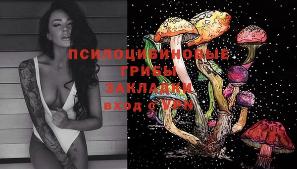 стафф Балахна